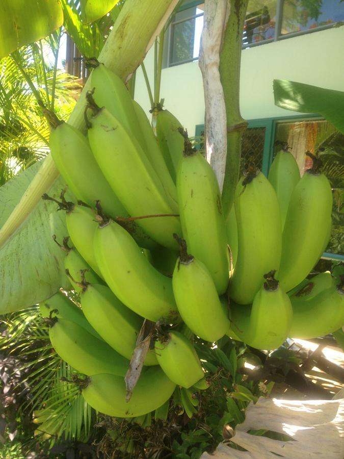 Aroa Kainga Bungalows&Apartment Rarotonga Bagian luar foto