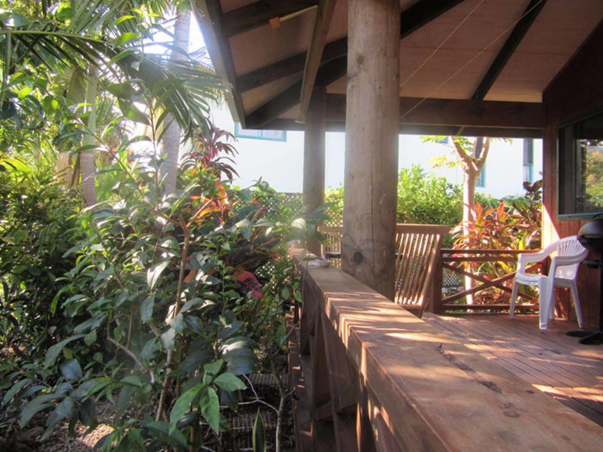 Aroa Kainga Bungalows&Apartment Rarotonga Bagian luar foto